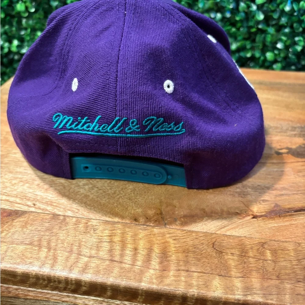 Charlotte Hornets Purple and Teal Cap